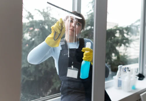 Nettoyage de vitres intérieures et extérieures à Chasnay